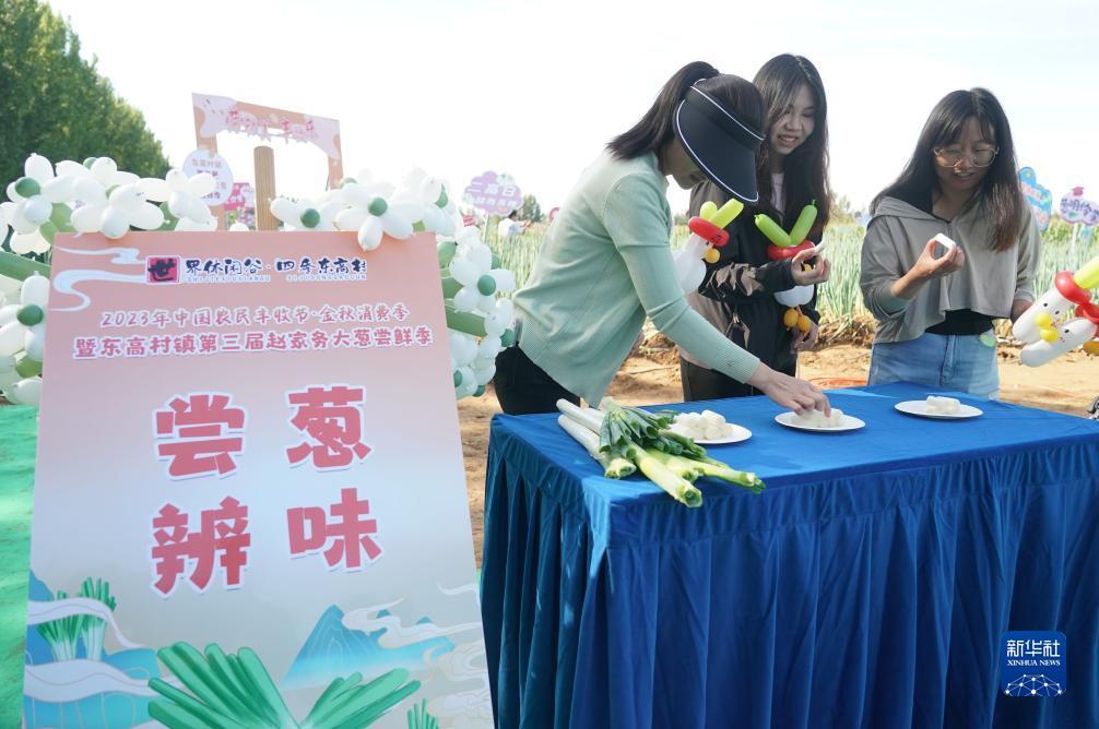免费彩金官网